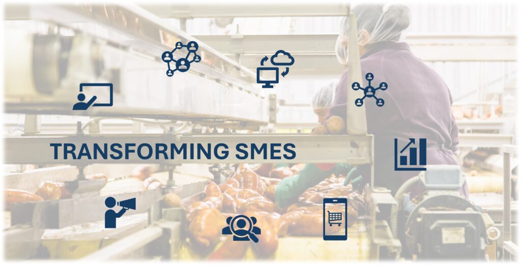 EMPOWERING SMES FOR SUSTAINABLE GROWTH
TRANSFORMATIVE MARKET FACILITATION
MARKET SYSTEM DEVELOPMENT
SME UPGRADING
